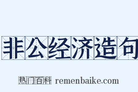 非公经济造句是什么意思的图片